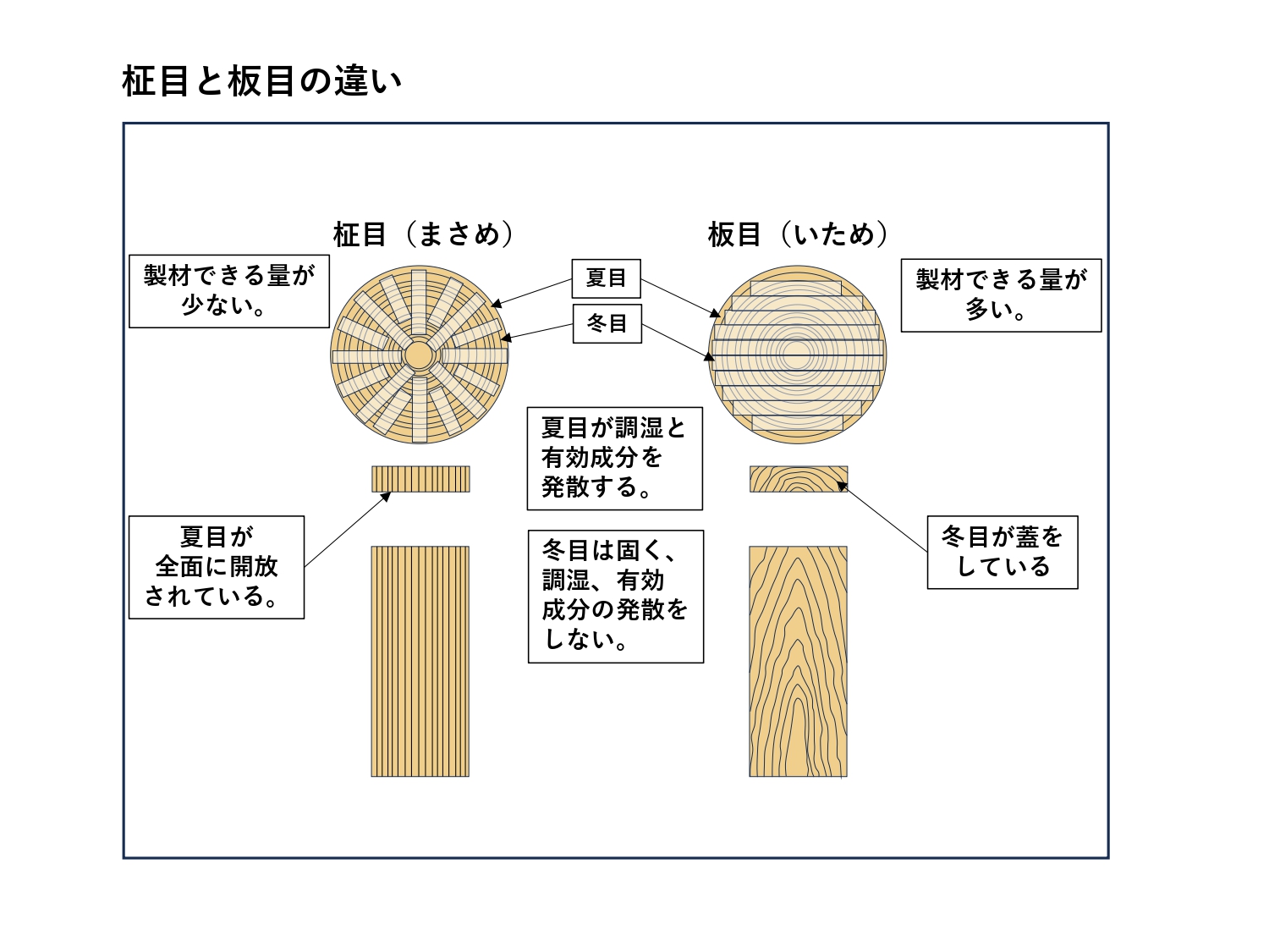 柾目材と板目材の違いがわかる画像です。板目材のほうが製材できる量が多いため価格が抑えられます。